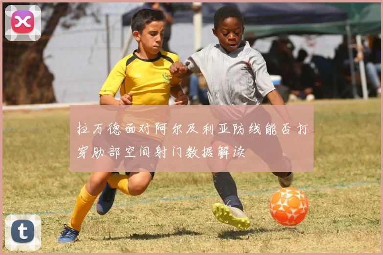拉万德面对阿尔及利亚防线能否打穿肋部空间射门数据解读