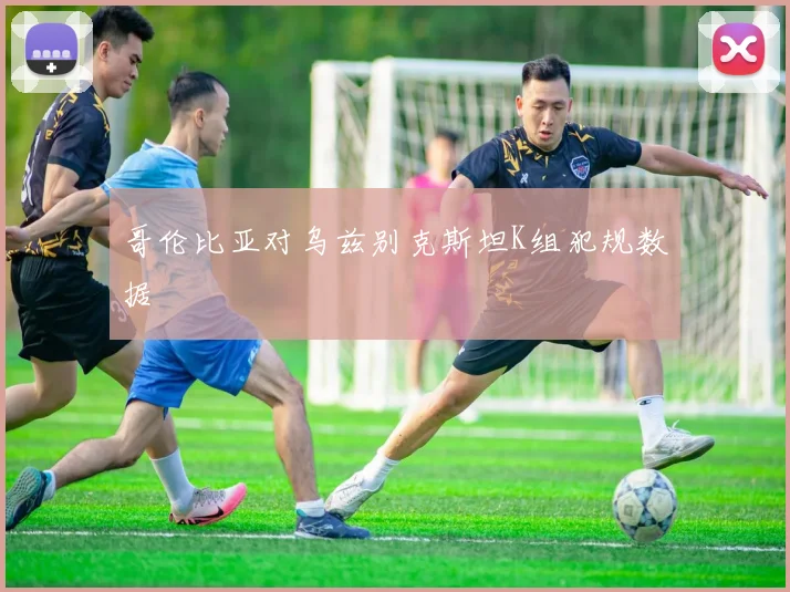 哥伦比亚对乌兹别克斯坦K组犯规数据