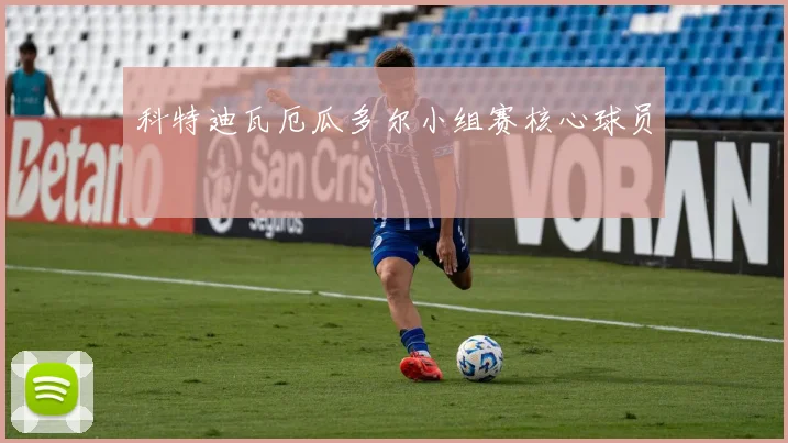 科特迪瓦厄瓜多尔小组赛核心球员
