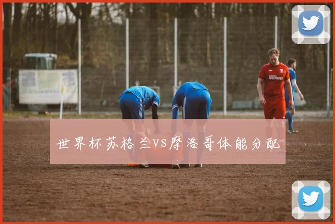 世界杯苏格兰vs摩洛哥体能分配